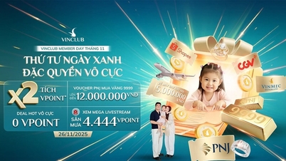 11月26日 VinClub会員デー：ポイント2倍、ゴールドと航空券をゲット