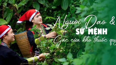 مهمة "حراسة" مخزن الأدوية الثمينة