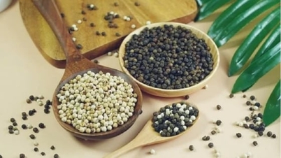 کالی مرچ کی قیمت آج 25 نومبر 2025: زبردست اضافہ، 149,000 VND/kg تک پہنچ گیا