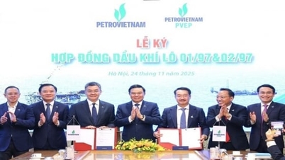 PVEP طویل مدتی ترقیاتی حکمت عملی کی بنیاد کو مضبوط کرتا ہے۔