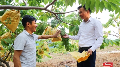 Long Phieng mempunyai pelbagai jenis tanaman.