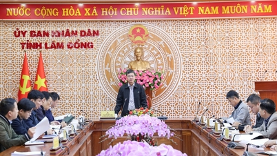 گذرگاه میموسا ساعت ۸:۰۰ صبح، ۲۸ نوامبر ۲۰۲۵ برای عبور و مرور باز می‌شود.