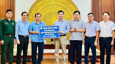 Håll 300–500 läkare och annan medicinsk personal redo att stödja Dak Lak vid behov.