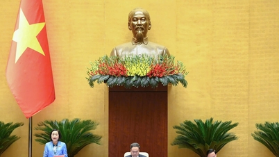 نوسازی جامع نظام آموزش ملی، با تضمین برابری در دسترسی به آموزش.