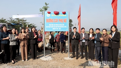 تابلوی پروژه «جاده درختی زنان» برای استقبال از کنگره جبهه میهنی ویتنام در استان، دوره ۲۰۲۵-۲۰۳۰