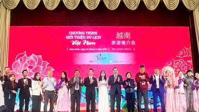 Introductie van Vietnamees toerisme in Nanjing (China): een ontmoetingsplaats voor culturele en toeristische samenwerking en uitwisseling