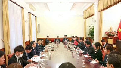 เสนอให้สถาบันมัตสึชิตะสนับสนุนเวียดนามในการฝึกอบรมทรัพยากรบุคคลที่มีคุณภาพสูง