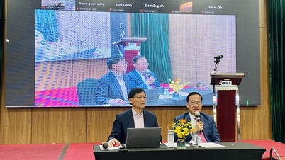 Se estimează că exporturile de textile și îmbrăcăminte vor ajunge la 46 de miliarde USD în 2025, în creștere cu 5,6% față de 2024.