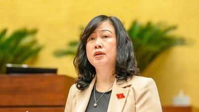 تقديم طلب إلى الجمعية الوطنية لإنفاق أكثر من 125 ألف مليار دونج على الرعاية الصحية الشاملة بهدف زيادة معدل المواليد