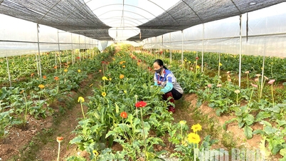 کشاورزی با فناوری پیشرفته - جهت گیری اجتناب ناپذیر