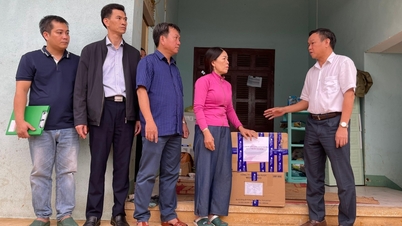 প্রাদেশিক পিপলস কমিটির ভাইস চেয়ারম্যান দাও মাই হোয়া থিন মেডিকেল স্টেশনে জীবাণুনাশক রাসায়নিক এবং ওষুধের ব্যাগ হস্তান্তর করেছেন।