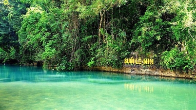 פאק בו במסע החדשנות