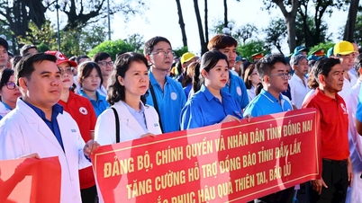 Донгнай мобилизует войска для поддержки провинции Даклак в преодолении последствий наводнения