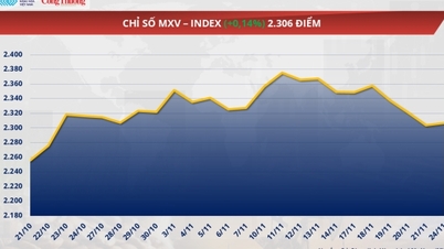 استمرار احتمالات وفرة الإمدادات في إضعاف أسعار القمح