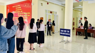 464 candidats ont participé à l'examen de recrutement de fonctionnaires de 2025 pour le Parti et les organisations de masse.