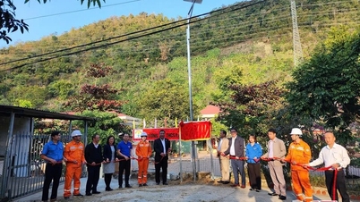 La Compañía Eléctrica Son La lanza el Mes de Agradecimiento al Cliente 2025