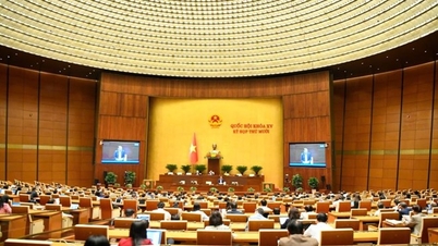 Fokus på å fjerne flaskehalser som oppstår etter åtte år med implementering av presseloven