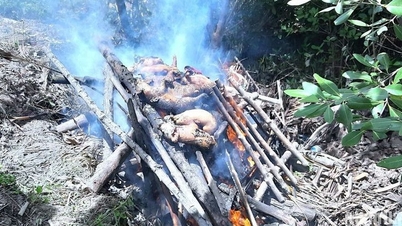 Promowanie bezpieczeństwa biologicznego w hodowli zwierząt gospodarskich