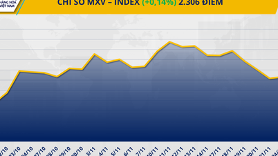GRONDSTOFFENMARKT: Gemengde ontwikkelingen, vraag en aanbod blijven de prijzen domineren