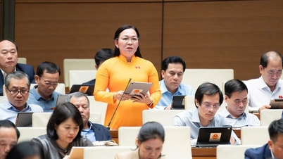 Alterar a Lei de Imprensa é extremamente urgente no contexto da explosão das mídias digitais.