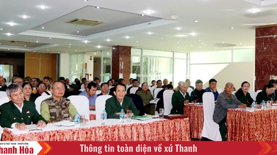 Тренинг по оценке деятельности Ассоциации бывших молодых волонтеров в 2025 году