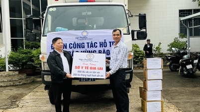 สถาบันปาสเตอร์แห่งนครโฮจิมินห์กำลังให้ความช่วยเหลือฉุกเฉินแก่จังหวัดเกียลายและจังหวัดลำดงในการป้องกันโรคระบาดหลังเกิดอุทกภัย