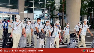 В'єтнамські працівники за кордоном надсилають додому близько 17 000 мільярдів донгів на рік