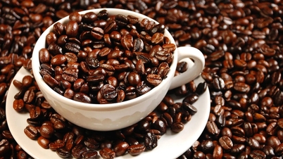 قیمت قهوه امروز ۲۵ نوامبر ۲۰۲۵: روبوستا به شدت کاهش یافت، عربیکا رکورد جدیدی ثبت کرد