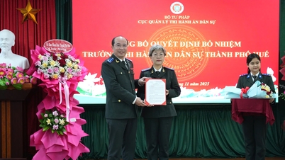 Fru Phan Thuy Duong utsågs till chef för verkställigheten av civilrättsliga domar i Hue stad.