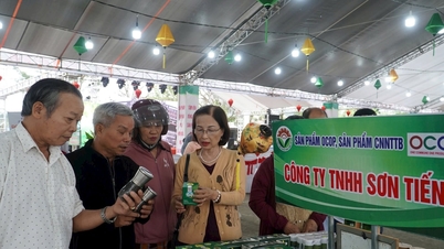 پہاڑی مصنوعات کی تجارت کو مربوط کرنا