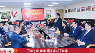 Die hochrangige Delegation der Provinz Thanh Hoa arbeitete mit dem Verband vietnamesischer Organisationen und dem Verband vietnamesischer Unternehmer in der Russischen Föderation zusammen.