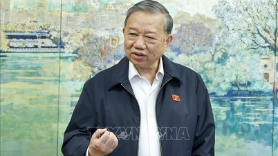 의료와 교육은 인적자원 개발의 목표이자 원동력입니다.