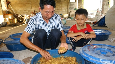 "Rör vid" grönt jordbruk