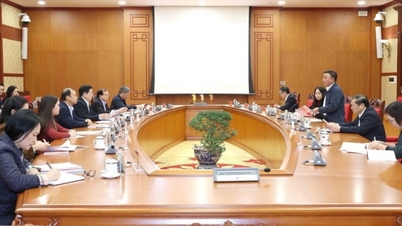 Plano de decoração e propaganda visual para recepcionar o 14º Congresso Nacional do Partido.