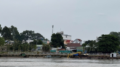 Mực nước sông Đồng Nai biến đổi chậm