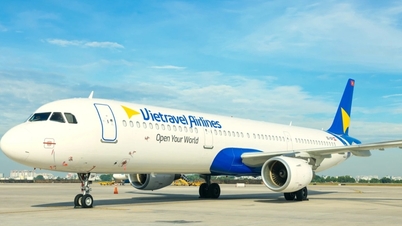 Vietravel officially withdraws from the aviation industry