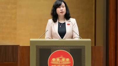 정부는 2026년부터 2035년까지 의료와 인구에 125조 VND 이상을 투자할 것을 제안했습니다.