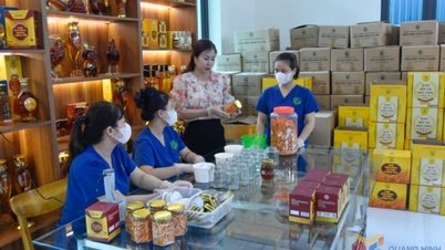 Meningkatnya daya saing produk pertanian Quang Ninh