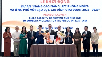 Vietnam lanceert door UNFPA gefinancierd project om de capaciteit te vergroten om huiselijk geweld in het digitale tijdperk te voorkomen en erop te reageren