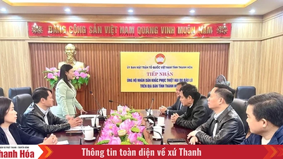 Ao meio-dia de 28 de novembro, a campanha terminou e o apoio às pessoas afetadas pela tempestade nº 10 foi recebido.