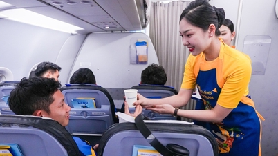 এয়ারএশিয়া শেয়ার কেনার জন্য আলোচনা করছে এমন গুজবের মধ্যে ভিয়েট্রাভেল ভিয়েট্রাভেল এয়ারলাইন্স থেকে বিদায় নিল