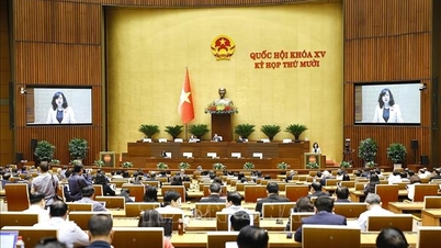 برنامه ملی هدفمند در حوزه سلامت و جمعیت