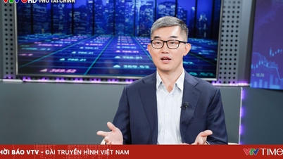 Developing the fund industry, attracting sustainable capital flows to the stock market