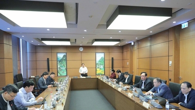 Zdokonalení mechanismu a cílů Národního cílového programu v oblasti zdraví za účelem podpory jeho účinnosti