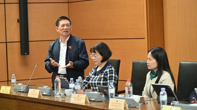 Vice-Premier ministre : Le gouvernement central ne devrait pas tout contrôler, mais doit déléguer le budget aux collectivités locales.