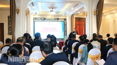 التدريب على مهارات التحول الرقمي في العمليات التعاونية