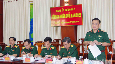 Division 5 (Région militaire 7) : Amélioration de la qualité globale et de la force de combat