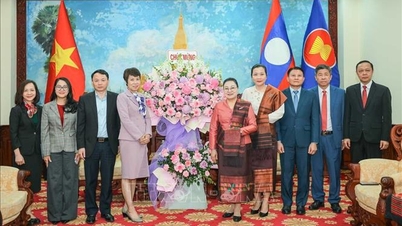 مدیر کل VNA پنجاهمین سالگرد روز ملی جمهوری دموکراتیک لائوس را تبریک گفت