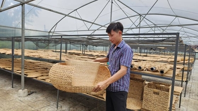 Cần Thơ: Doanh nghiệp tối ưu năng lượng tự nhiên, giảm phát thải khí nhà kính