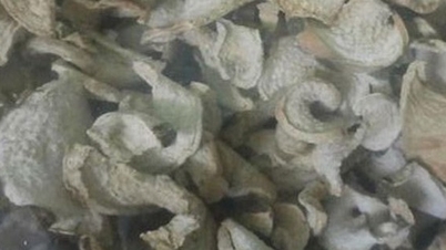 코끼리발마를 활용해 요산 수치 낮추는 방법